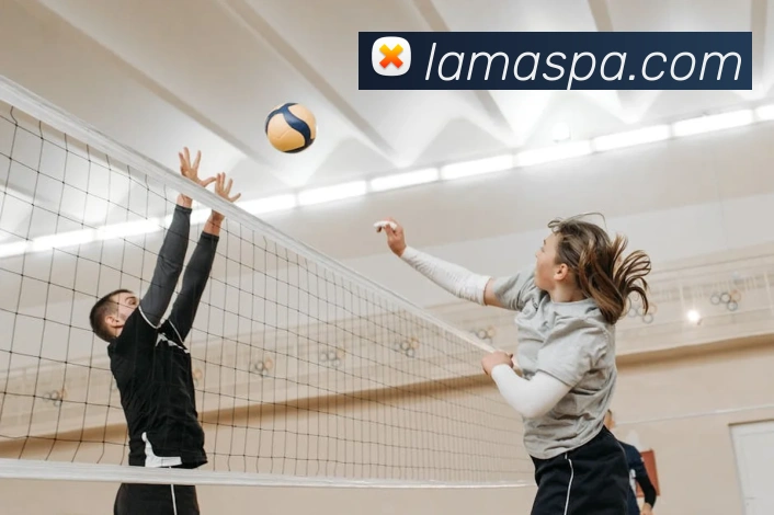 pa真人视讯APP 封面图